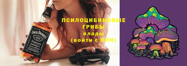 прущие грибы Баксан