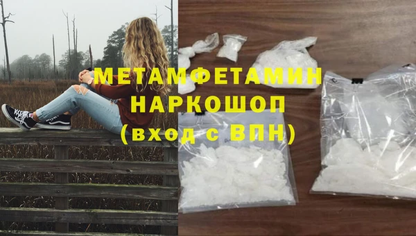 прущие грибы Баксан