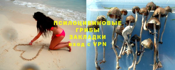 прущие грибы Баксан